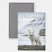 Polarfuchs in Svalbard Norwegen Magnet (Vorderseite/Rückseite)