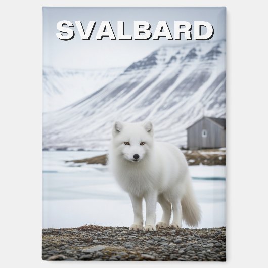 Polarfuchs in Svalbard Norwegen Magnet (Vorderseite)