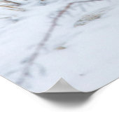 Polarfuchs Poster (Ecke)