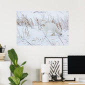Polarfuchs Poster (Heimbüro)