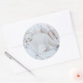 Polarfuchs Runder Aufkleber (Umschlag)