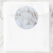 Polarfuchs Runder Aufkleber (Tasche)