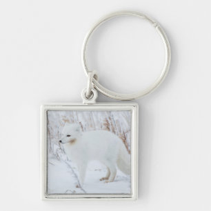 Polarfuchs Schlüsselanhänger