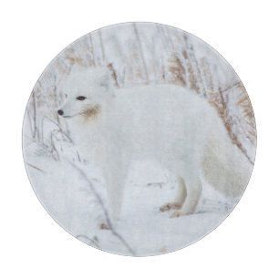 Polarfuchs Schneidebrett