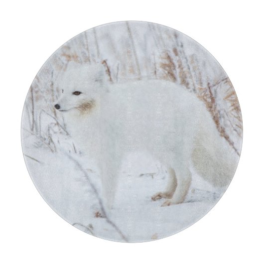 Polarfuchs Schneidebrett (Vorderseite)