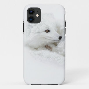 Polarfuchs zusammengerollt im Winter Case-Mate iPhone Hülle