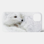 Polarfuchs zusammengerollt im Winter Case-Mate iPhone Hülle (Rückseite (Horizontal))