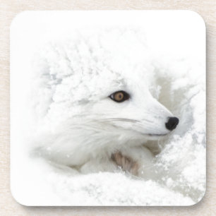 Polarfuchs zusammengerollt im Winter Getränkeuntersetzer