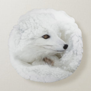 Polarfuchs zusammengerollt im Winter Rundes Kissen