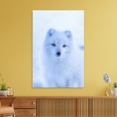 Polarktische Fox Canvas Print Leinwanddruck (Insitu (Wohnzimmer))