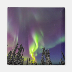 Polarlicht   Fairbanks, Alaska Magnet