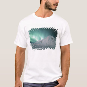 Polarlicht, nahe Palmer, 17./18. Januar T-Shirt