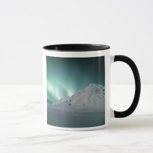 Polarlicht, nahe Palmer, 17./18. Januar Tasse