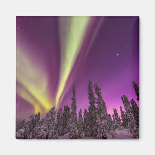 Polarlicht Nordlicht Fairbanks Alaska Magnet