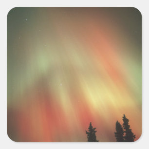 Polarlicht, Nordlichter, Fairbanks Quadratischer Aufkleber