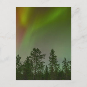 Polarlicht Nordlichter Himmel Glühen Funkeln Postkarte