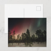 Polarlicht über verschneitem Wald  Postkarte (Vorne/Hinten)