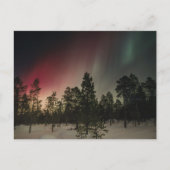 Polarlicht über verschneitem Wald  Postkarte (Vorderseite)