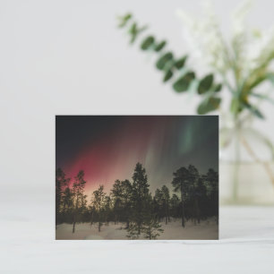 Polarlicht über verschneitem Wald Postkarte