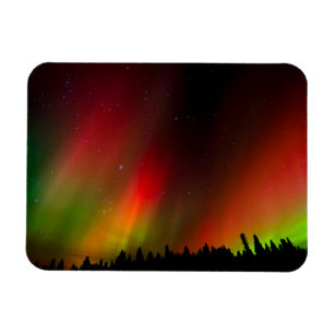 Polarlicht und Bäume Magnet