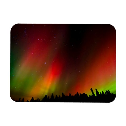 Polarlicht und Bäume Magnet (Horizontal)
