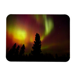 Polarlicht und Bäume Magnet