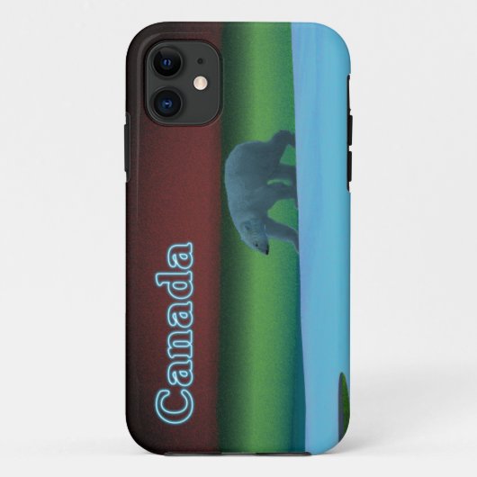 Polarlichter Case-Mate iPhone Hülle (Rückseite)