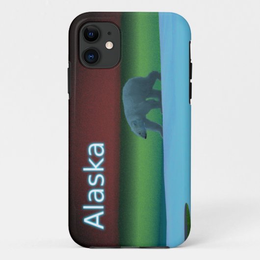 Polarlichter Case-Mate iPhone Hülle (Rückseite)