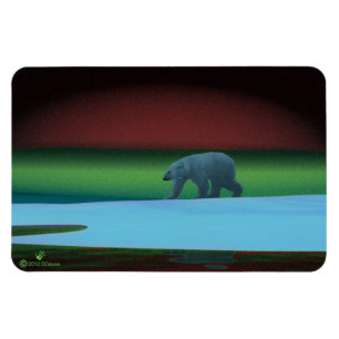 Polarlichter Magnet