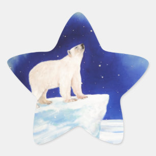 Polarlichter Stern-Aufkleber