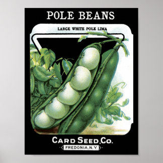 Pole Beans Card Seed Co Packet Vintag Fredonia Poster