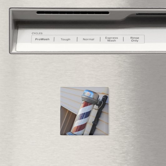 Pole-Magnet Magnet (In Situ (Geschirrspüler))