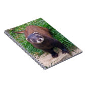 Polecat-Notebook Notizblock (Rechte Seite)