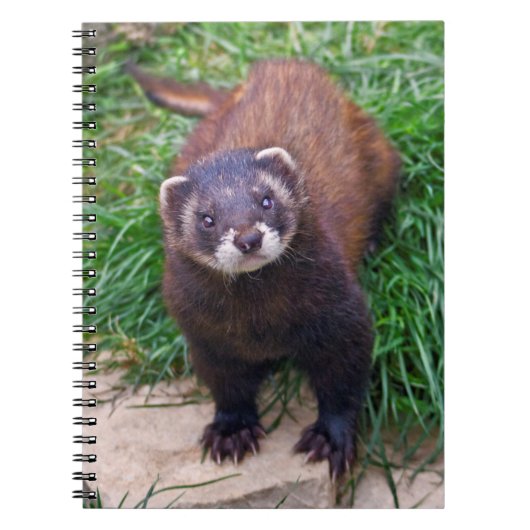Polecat-Notebook Notizblock (Vorderseite)