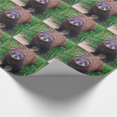 Polecat-Packpapier Geschenkpapier (Ecke)