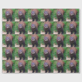 Polecat-Packpapier Geschenkpapier (Flach)
