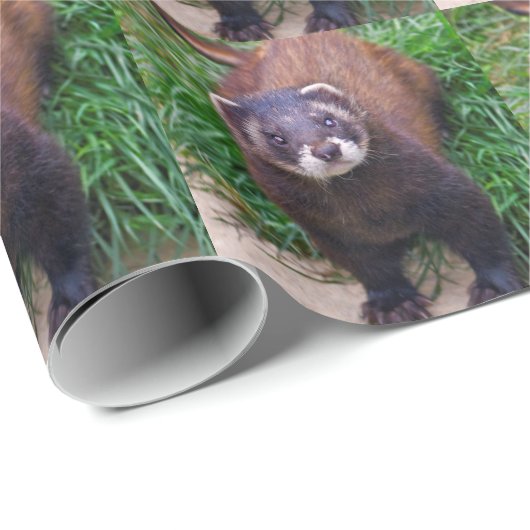 Polecat-Packpapier Geschenkpapier (Rolleneckpunkt)