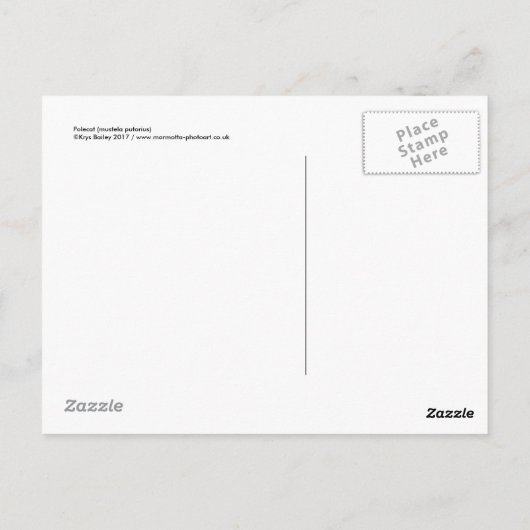 Polecat Postcard Postkarte (Rückseite)
