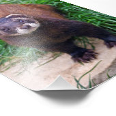 Polecat Print Fotodruck (Ecke)