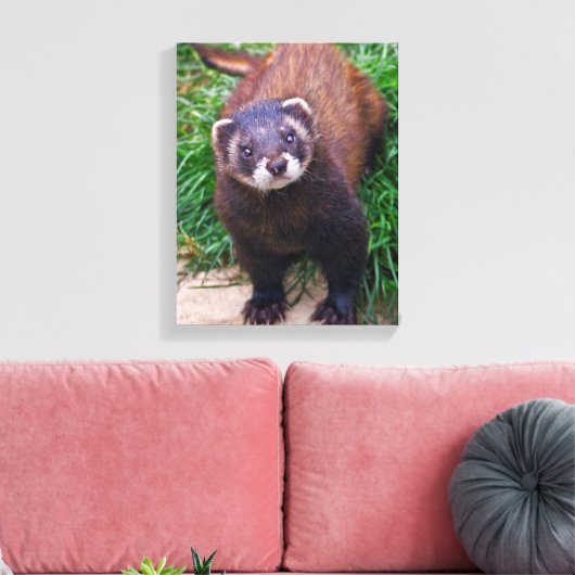 Polecat Wrapped Canvas Leinwanddruck (Insitu (Wohnzimmer))