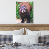Polecat Wrapped Canvas Leinwanddruck (Insitu (Schlafzimmer))