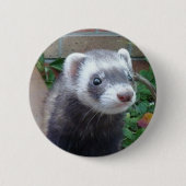 Polecatfrettchen Button (Vorderseite)
