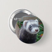 Polecatfrettchen Button (Vorne & Hinten)