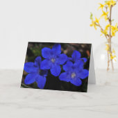 Polemonium-Gruß-Karte Karte (Gelbe Blume)