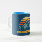 Polemonium Peak Kalifornien Retro Türkis Zweifarbige Tasse (Vorderseite Links)