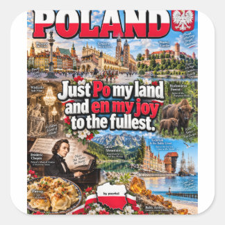 Polen Aufkleber
