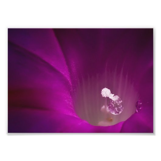 Polen Glitzer Fotodruck (Vorne)