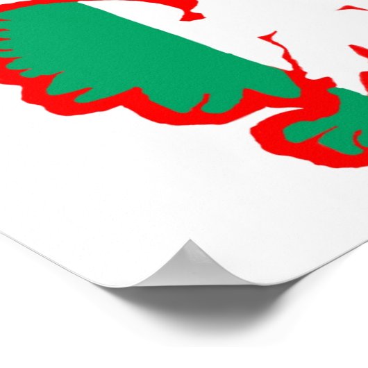 POLEN/IRISH FLAG POSTER (Ecke)
