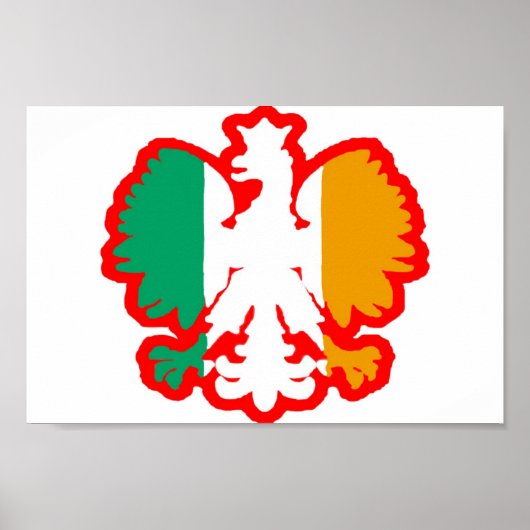 POLEN/IRISH FLAG POSTER (Vorne)