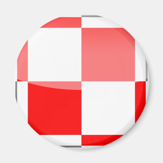 Polen Magnet (Vorne)